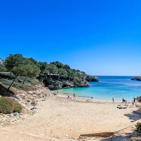 Guacarachas Cala d'Or (Mallorca)