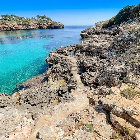 Guacarachas Cala d'Or (Mallorca)