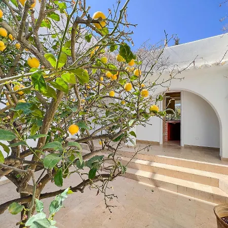 Guacarachas Holiday home Cala d'Or (Mallorca)
